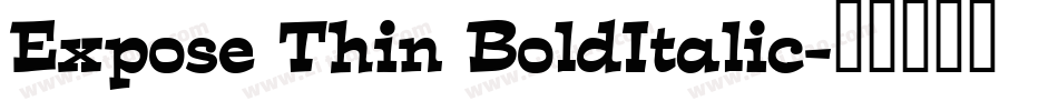 Expose Thin BoldItalic字体转换